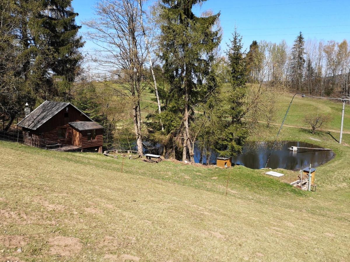 Srub Na Svahu Sjezdovky V Radvanicich Radvanice  Exterior foto