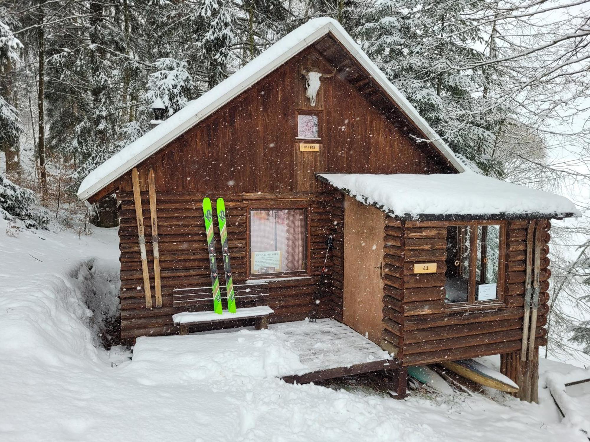 Srub Na Svahu Sjezdovky V Radvanicich Radvanice  Exterior foto
